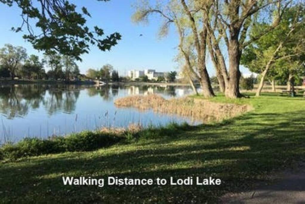 Robert St Cottage, Near Lodi Lake エクステリア 写真